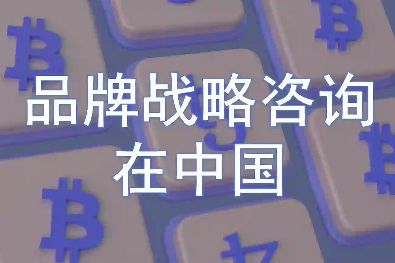 中国一流品牌战略咨询公司(A类)
