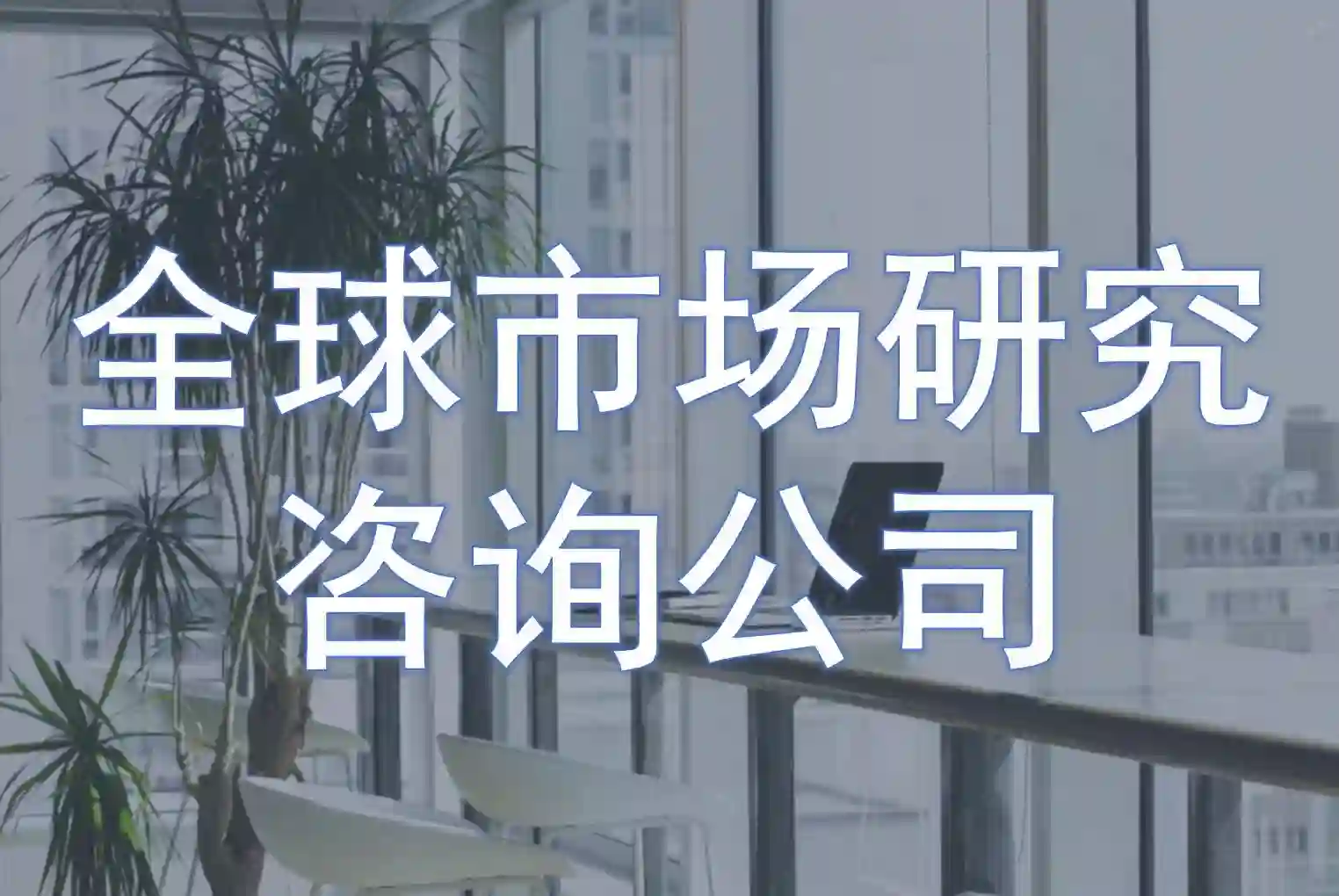 全球著名市场研究咨询公司(A类)